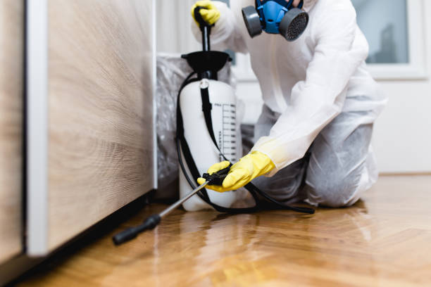 Best Affordable Pest Control Services  in North Aurora, IL