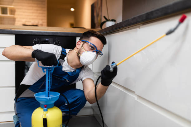Best Best Pest Control Companies  in North Aurora, IL