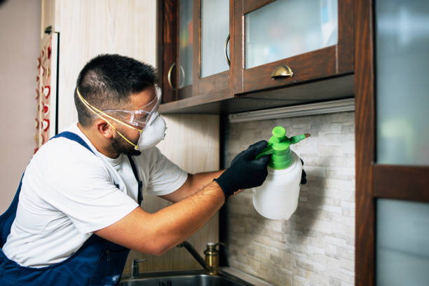 Best Pest Removal Services  in North Aurora, IL