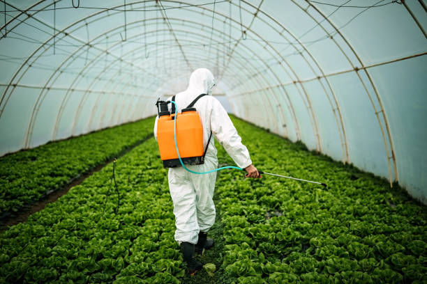 Pest Control Cost in North Aurora, IL
