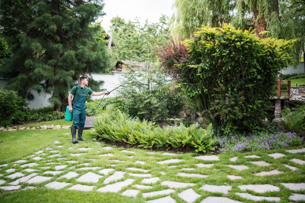 Best Affordable Pest Control Services  in North Aurora, IL