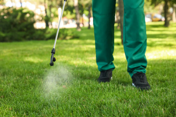 Best Residential Pest Control  in North Aurora, IL