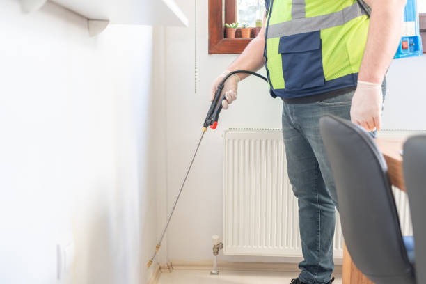 Professional Pest Control in North Aurora, IL