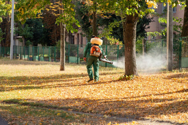 Best Best Pest Control Companies  in North Aurora, IL