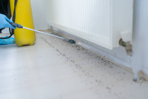 Best Best Pest Control Companies  in North Aurora, IL