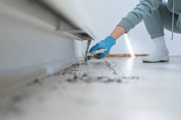 Best Cockroach Control Services  in North Aurora, IL