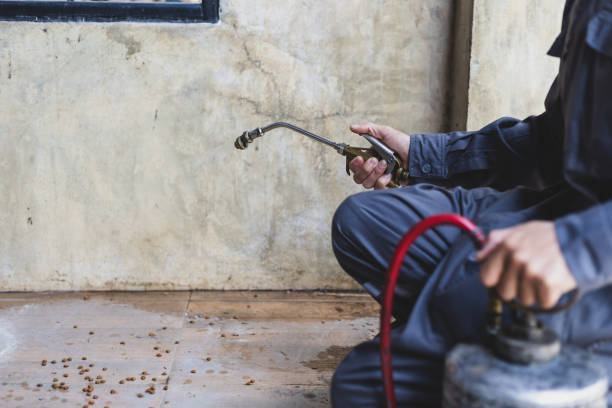 Pest Prevention Services in North Aurora, IL