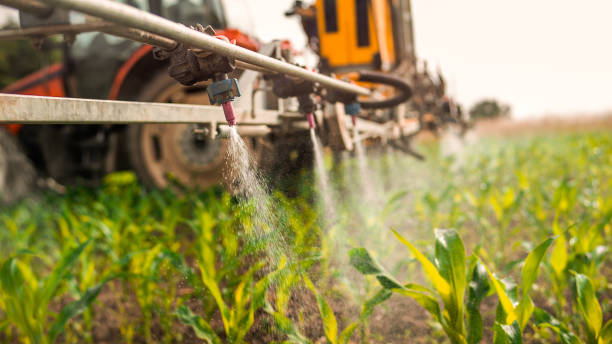 Best Wildlife Control Services  in North Aurora, IL